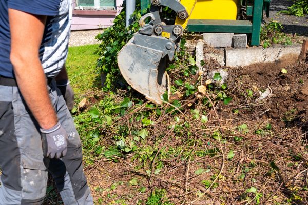 Hedge Removal Service in Post Falls