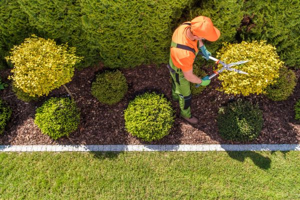 Topiary Trimming in Post Falls
