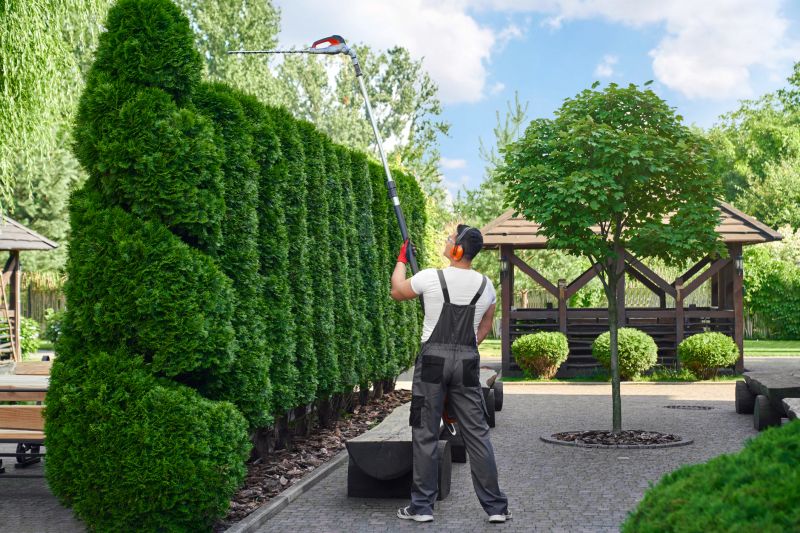 Expert shrub trimming enhances landscape appeal