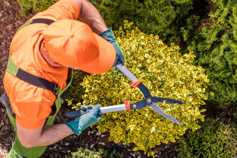 Seasonal pruning benefits